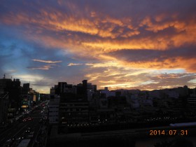 DSCN2611